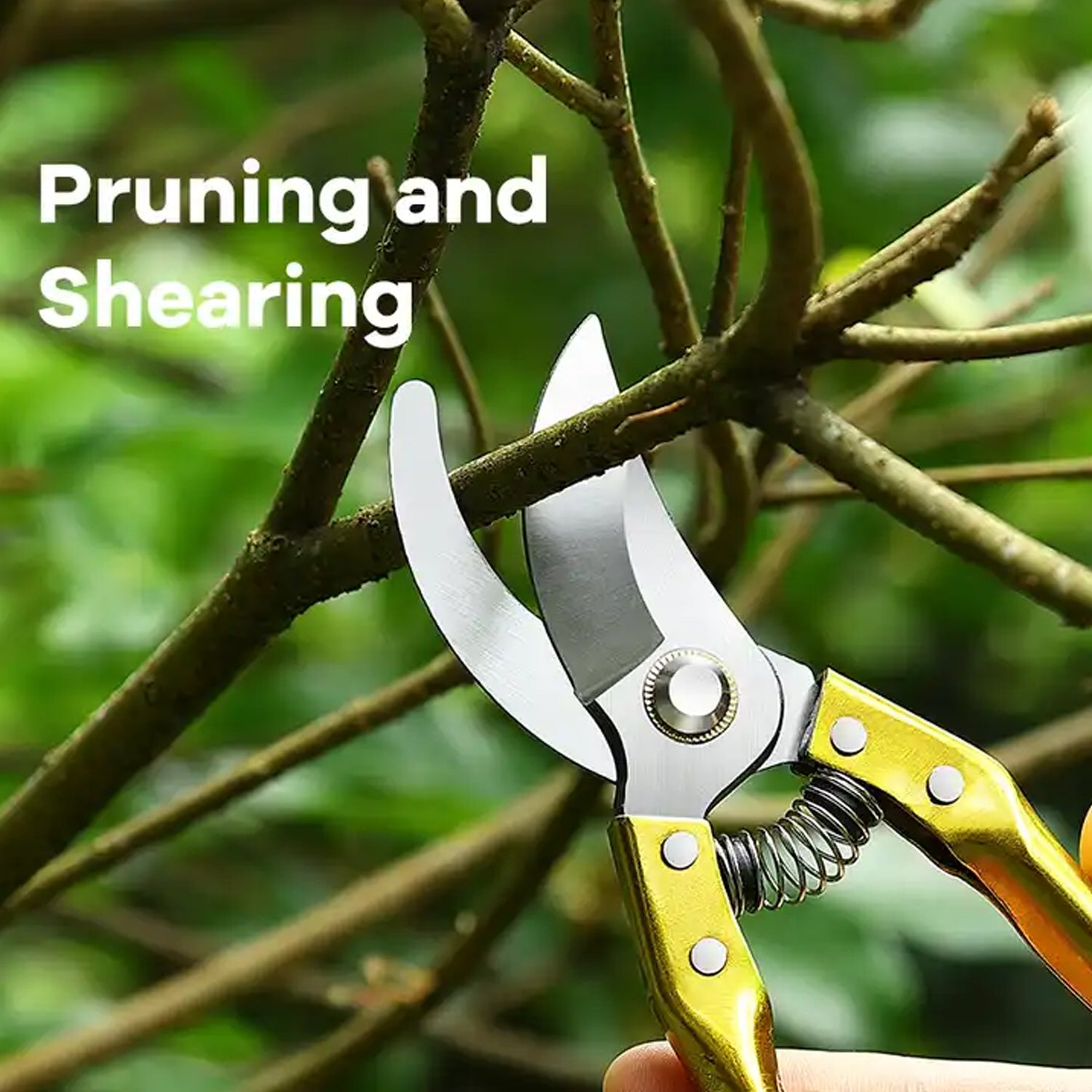 Gardening Tools - Garden Shears Pruners Scissor (1 Pc) Gardening Tools - Garden Shears Pruners Scissor (1 Pc)